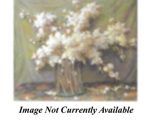 Wild Plum Blossoms
